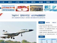 日喀则空军某部网站制做