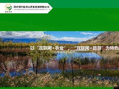 拉萨城关区净土农业网站建设