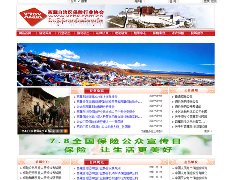 西藏保险行业协会网站维护服务