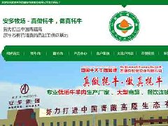 西藏安牧多实业有限公司网页设计制作