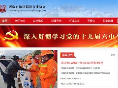 西藏保险行业协会2021年网站改版升级